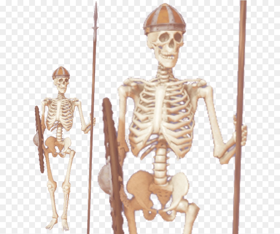 Skeleton, Person, Face, Head Free Png