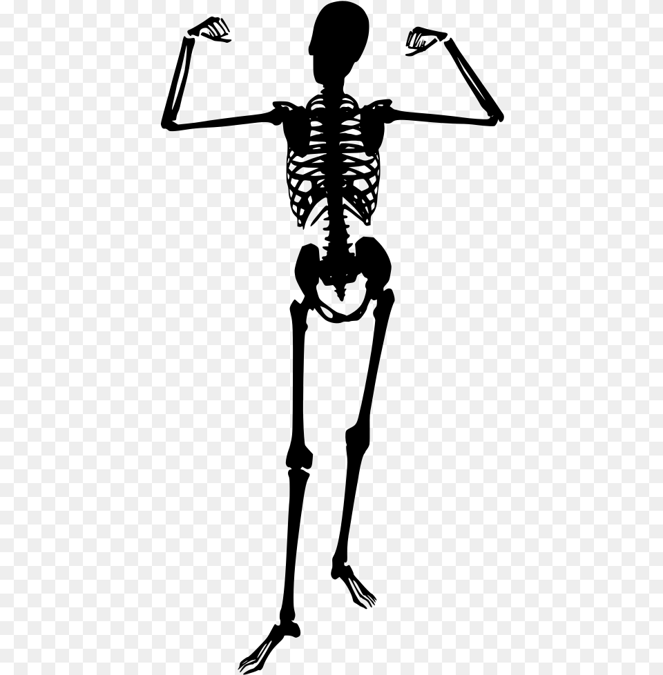 Skeleton, Gray Free Transparent Png