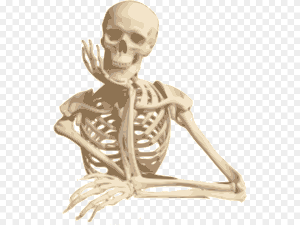 Skeleton, Person, Face, Head Png Image