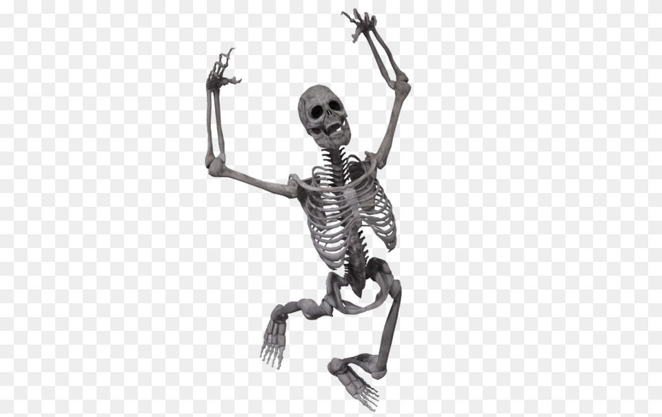 Skeleton, Person, Face, Head Free Transparent Png