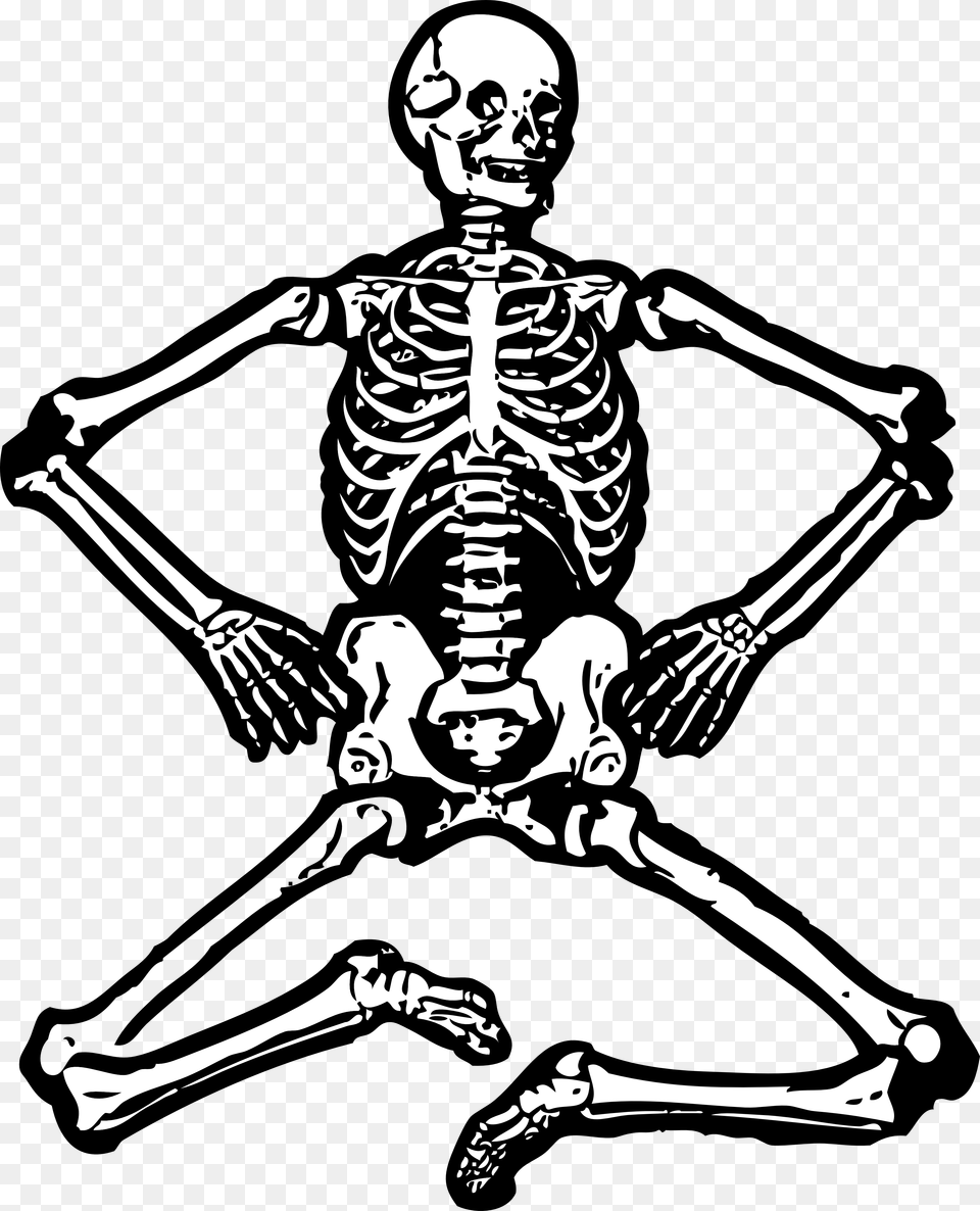 Skeleton, Adult, Male, Man, Person Png