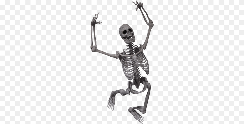 Skeleton, Person Png Image