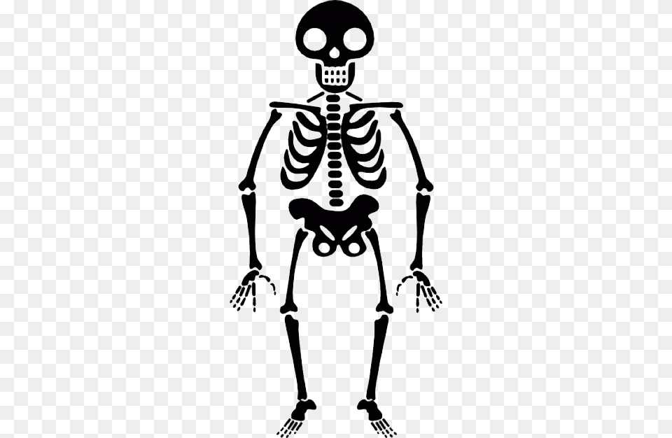 Skeleton, Person, Head Png