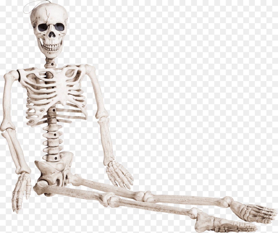 Skeleton, Face, Head, Person, Baby Free Transparent Png