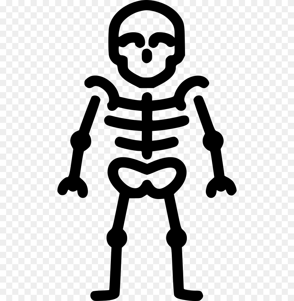 Skeleton Anatomy Bones Skull Skeleton Icon, Baby, Person, Stencil, Face Free Png Download