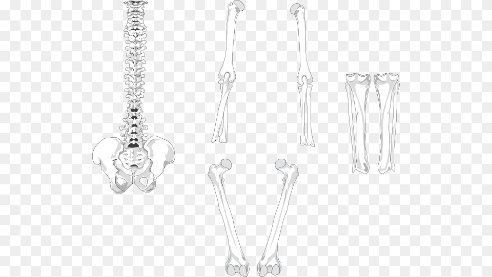 Skeleton Arm Bones, Person, Smoke Pipe, Head Png Image