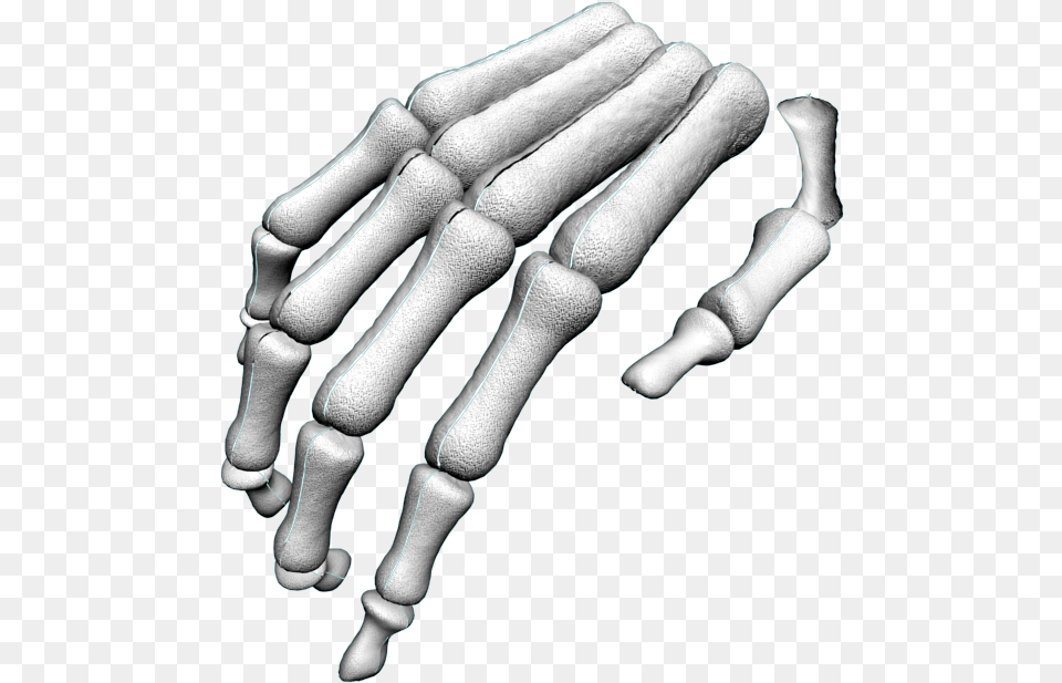 Skeleton Arm Hand, Body Part, Person, Glove, Finger Free Png