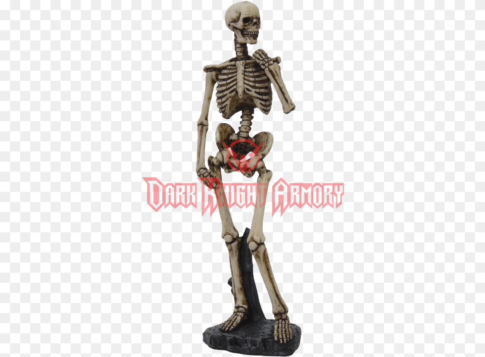 Skeleton Arms Posed Skeleton, Adult, Male, Man, Person Free Png