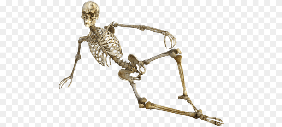 Skeleton Bones Kinky Wholesome Memes, Person Png