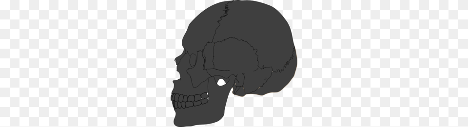 Skeleton Clipart, Head, Person, Face Free Png Download