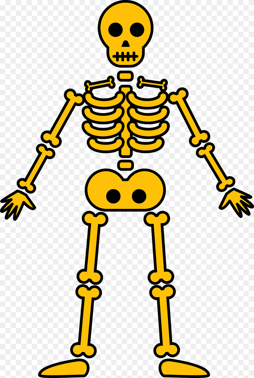 Skeleton Clipart Free Transparent Png