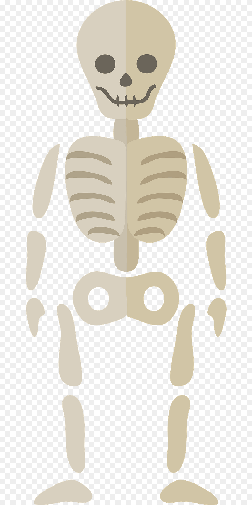 Skeleton Clipart, Baby, Person, Face, Head Png