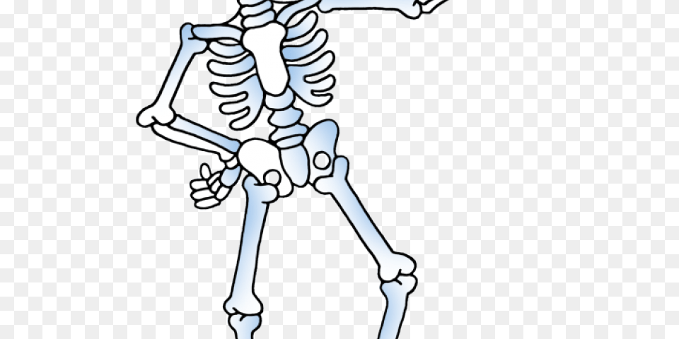 Skeleton Clipart, Person Png