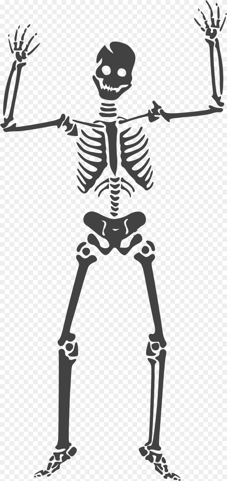 Skeleton Clipart Transparent Skeleton Vector, Person, Face, Head, Blade Free Png Download