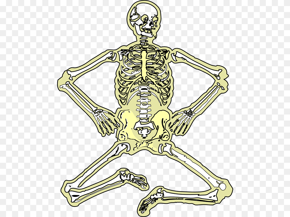 Skeleton Dead Bones Skull Human Medicine Human Skeleton, Adult, Male, Man, Person Png