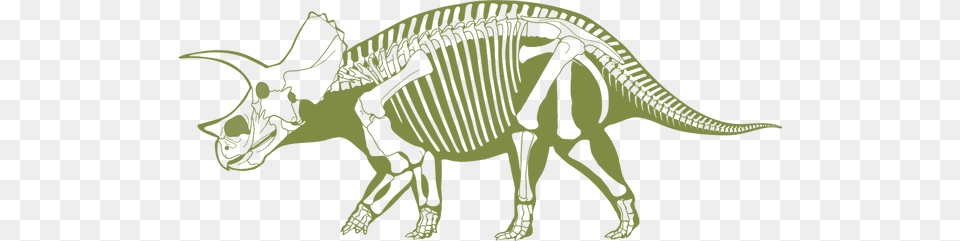 Skeleton Dinosaurs Profiles, Animal, Person, Cattle, Cow Free Png