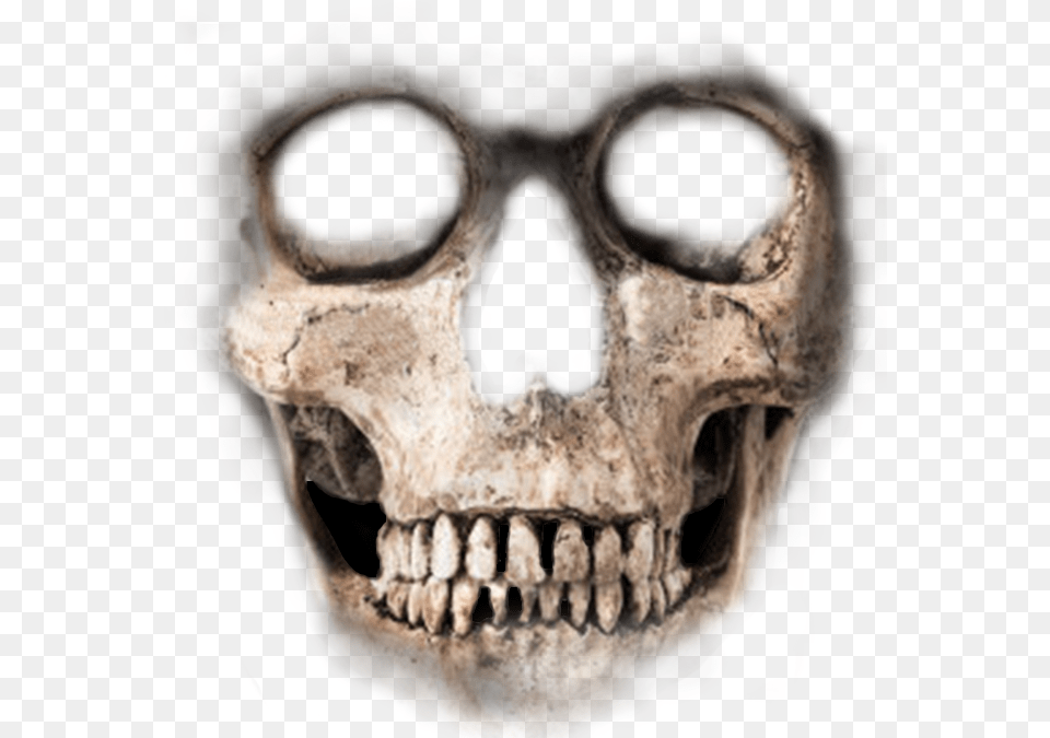 Skeleton Face Skeleton Face For Photoshop, Head, Person Png