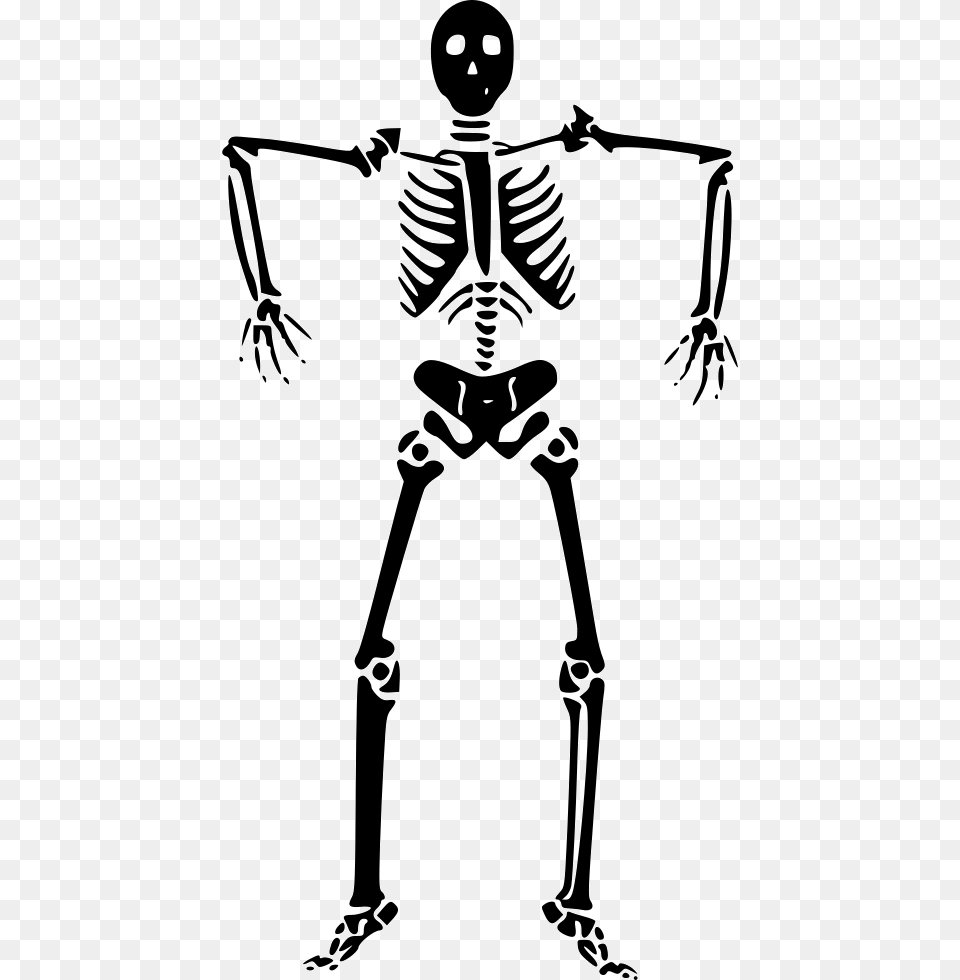 Skeleton Halloween Skeleton Clipart, Person, Face, Head Free Png Download