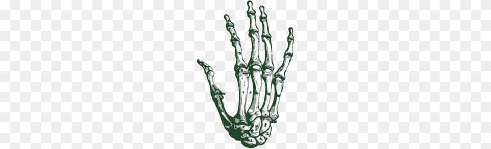 Skeleton Hand, Smoke Pipe, X-ray Free Transparent Png
