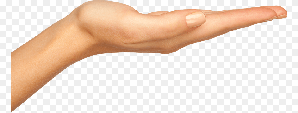 Skeleton Hand, Body Part, Finger, Person, Wrist Png