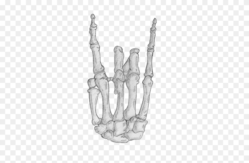 Skeleton Hand, Adult, Bride, Female, Person Png Image