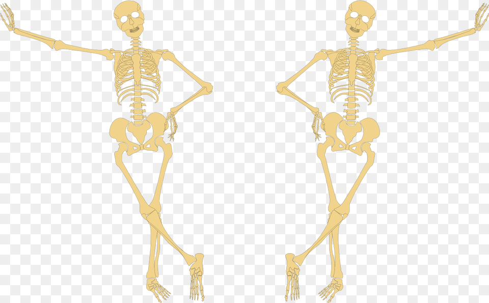 Skeleton Hand On Hip Skeleton Hands On Hips, Person, Face, Head Png Image