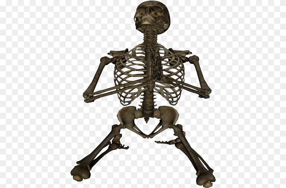 Skeleton Hands Praying Front View, Person Png Image