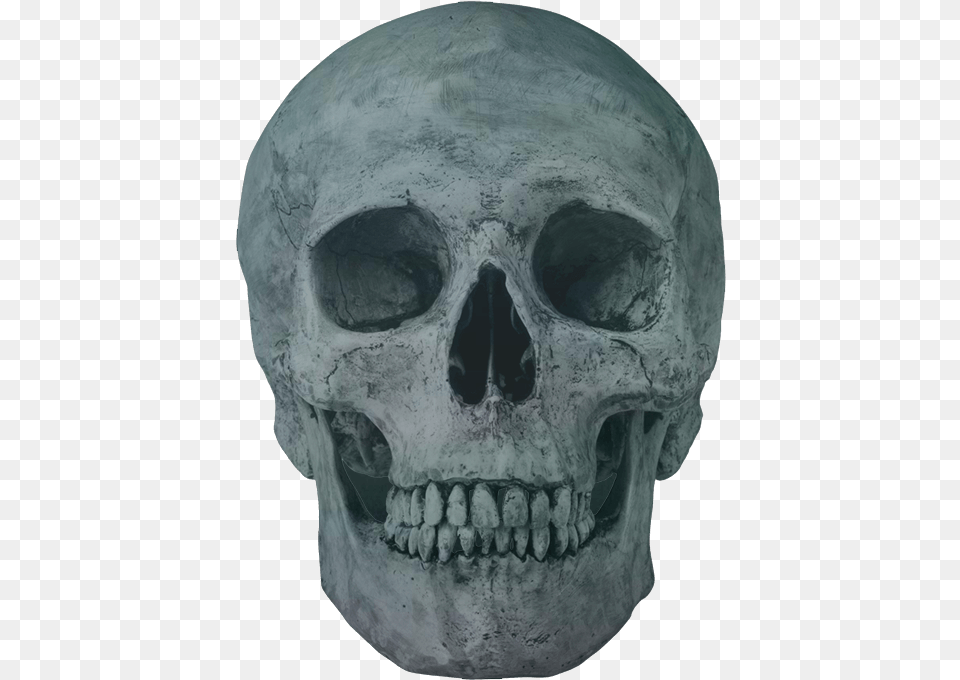 Skeleton Head, Person, Face Free Png