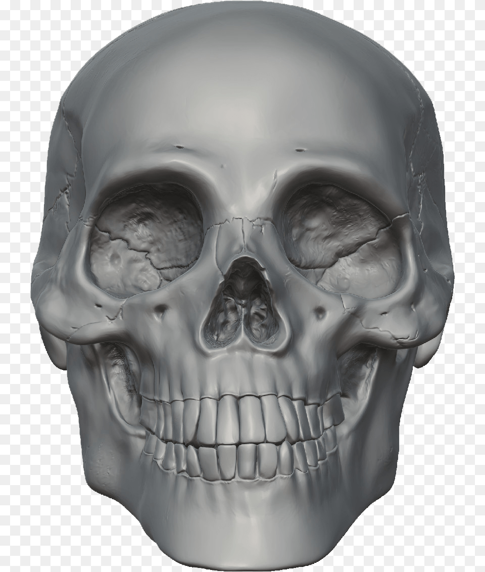 Skeleton Head Image Skull 3d Head, Person, Face, Baby Free Png