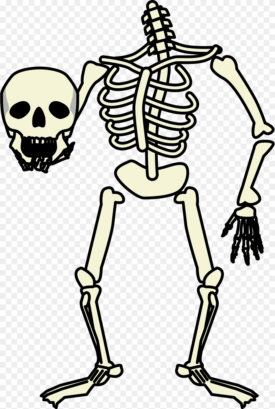 Skeleton Holding Skull Clipart, Face, Head, Person, Smoke Pipe Png Image