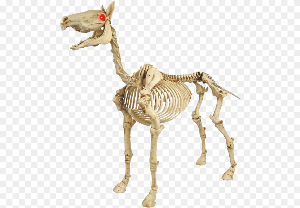 Skeleton Horse Halloween The T Rex Skeleton, Animal, Dinosaur, Reptile Free Png Download