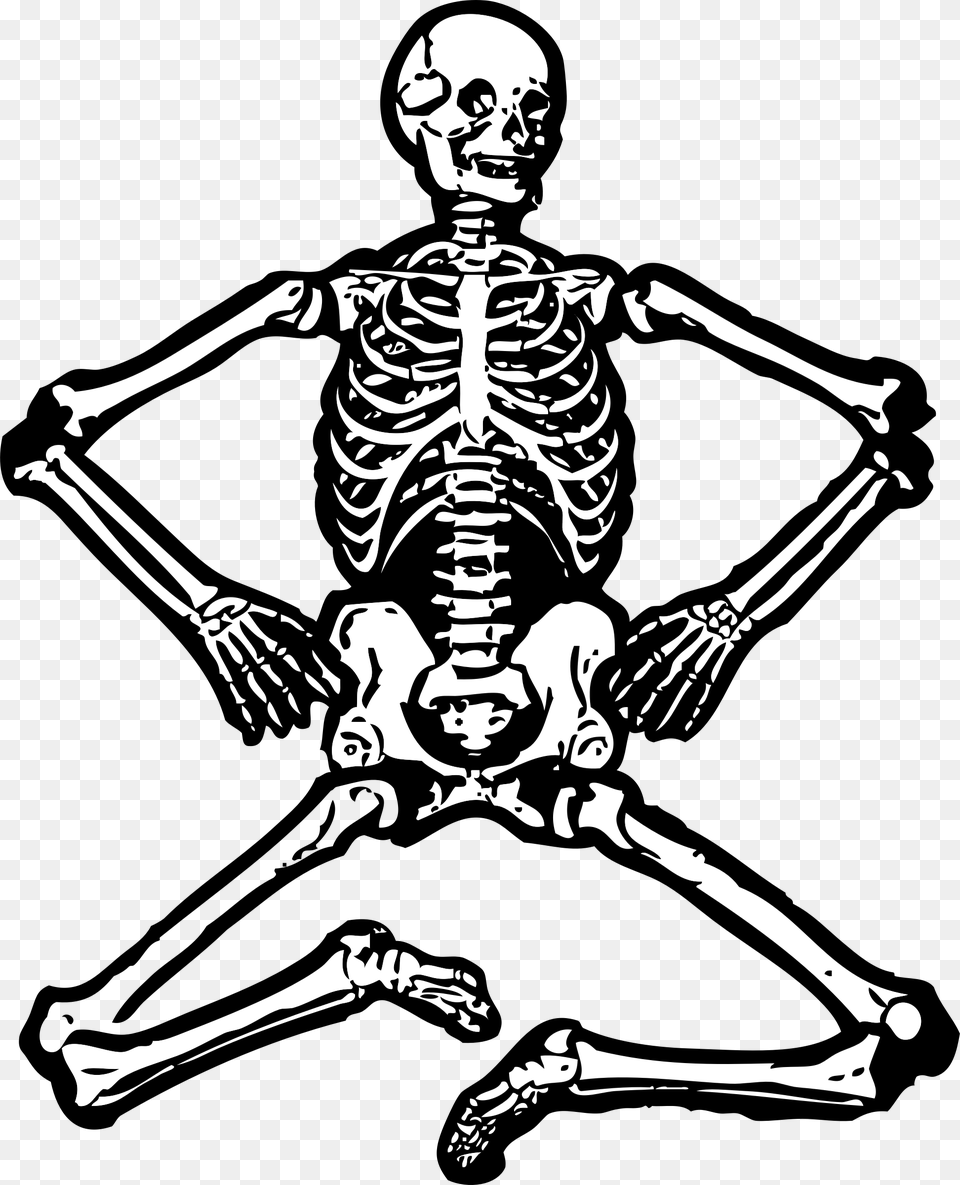 Skeleton Human Skeleton Bones Free Picture Human Skeleton Clipart, Adult, Male, Man, Person Png Image