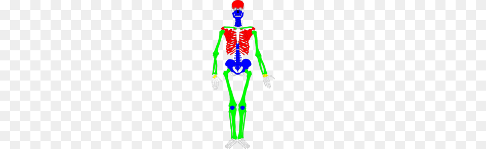 Skeleton Ian Clip Art, Person Free Png