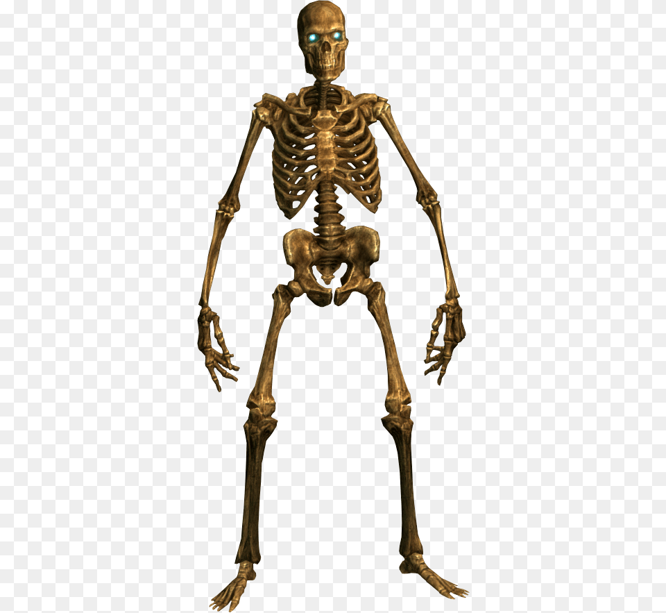 Skeleton Person, Face, Head Png Image