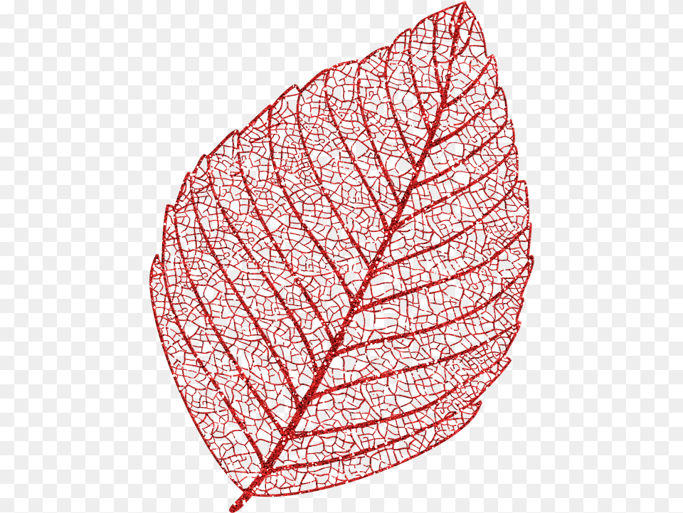 Skeleton Leaf Autumn Glitter Image On Pixabay Leaf Skeleton, Plant, Accessories, Chandelier, Lamp Free Png Download