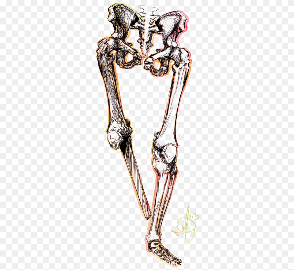 Skeleton Leg, Adult, Bride, Female, Person Free Png Download