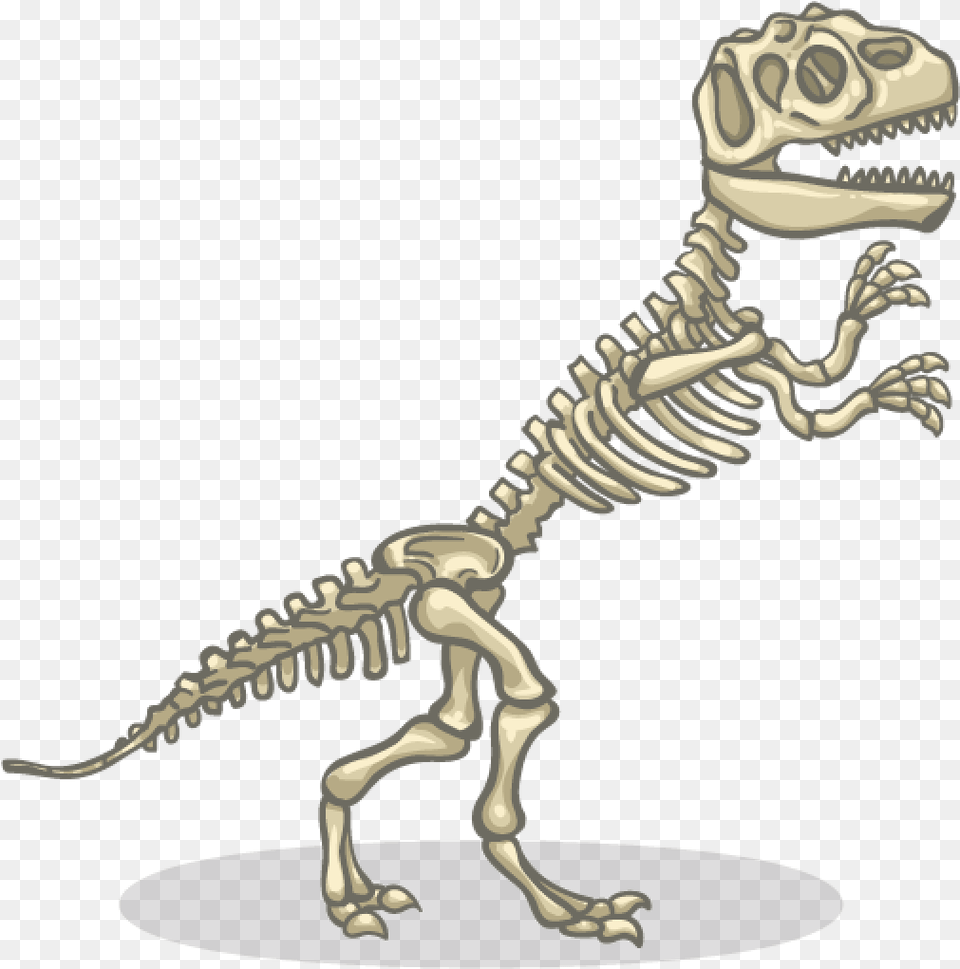 Skeleton Of A Dinosaur, Animal, Reptile, T-rex Free Transparent Png