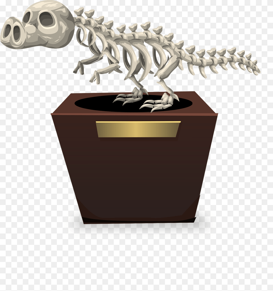 Skeleton Of A Hoggosaurus Clipart, Plant, Potted Plant Png Image