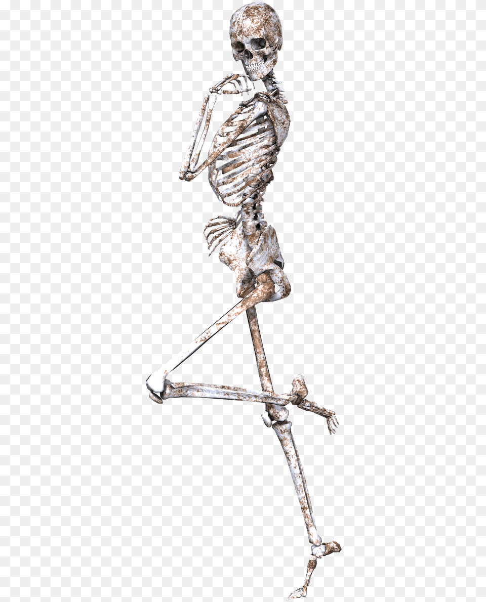 Skeleton On One Leg Skeleton Clipart No Background, Person, Face, Head Free Png