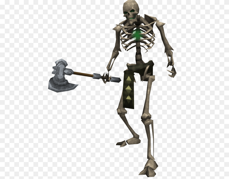 Skeleton Picture, Adult, Male, Man, Person Png Image