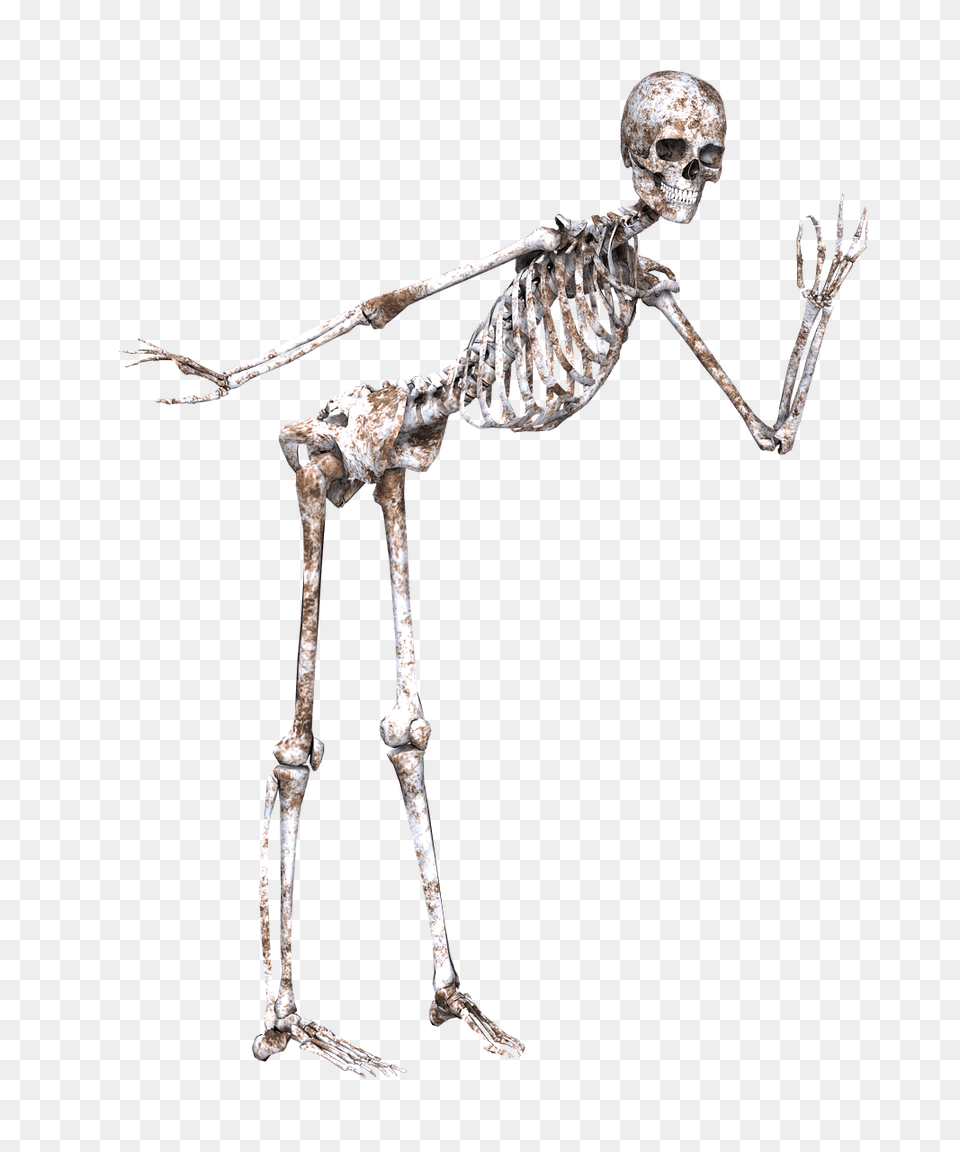 Skeleton Posing, Person, Head Png