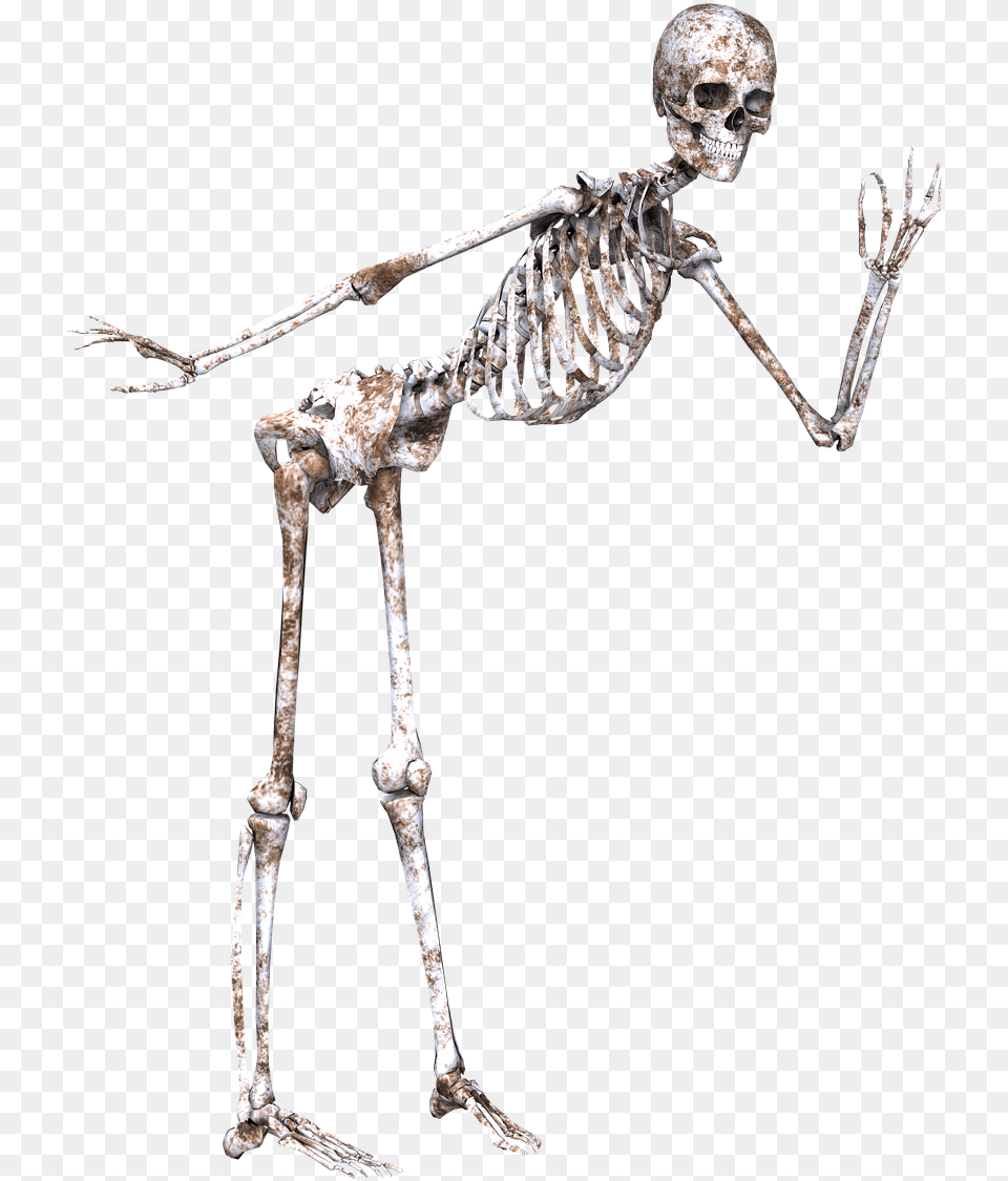 Skeleton Posing Clip Arts Skeleton, Person, Head, Face Free Transparent Png