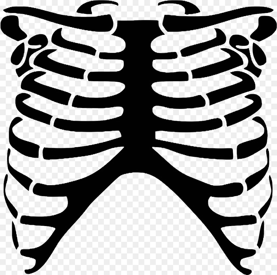 Skeleton Rib Cage, Clothing, Jeans, Pants Png Image