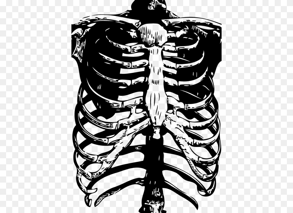 Skeleton Rib Cage Print, Gray Free Png