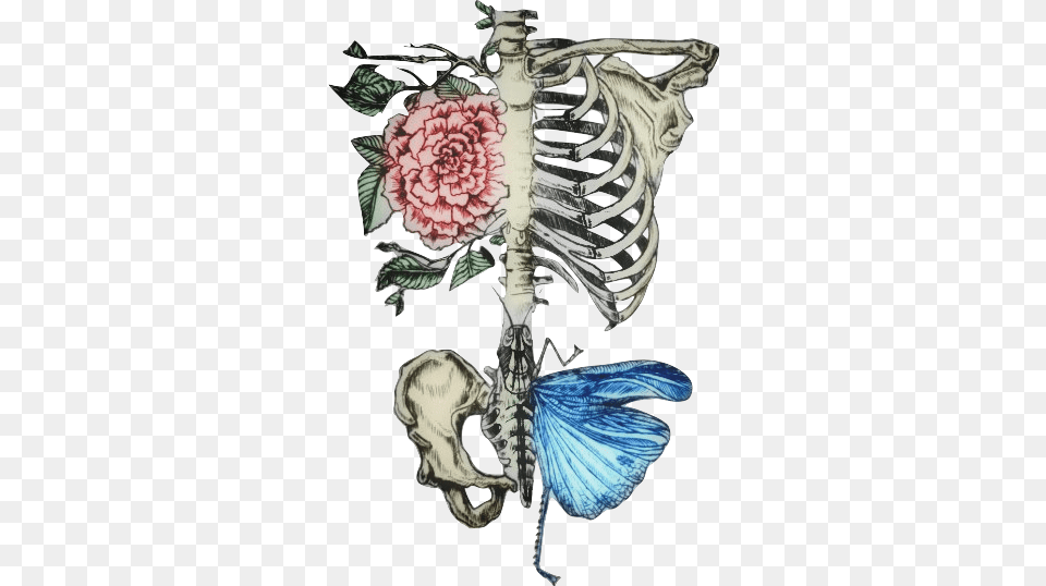 Skeleton Ribcage Roses Floral Bonewitch Humanbones Floral Rib Cage Skeleton Tattoo, Art, Person, Flower, Plant Png Image