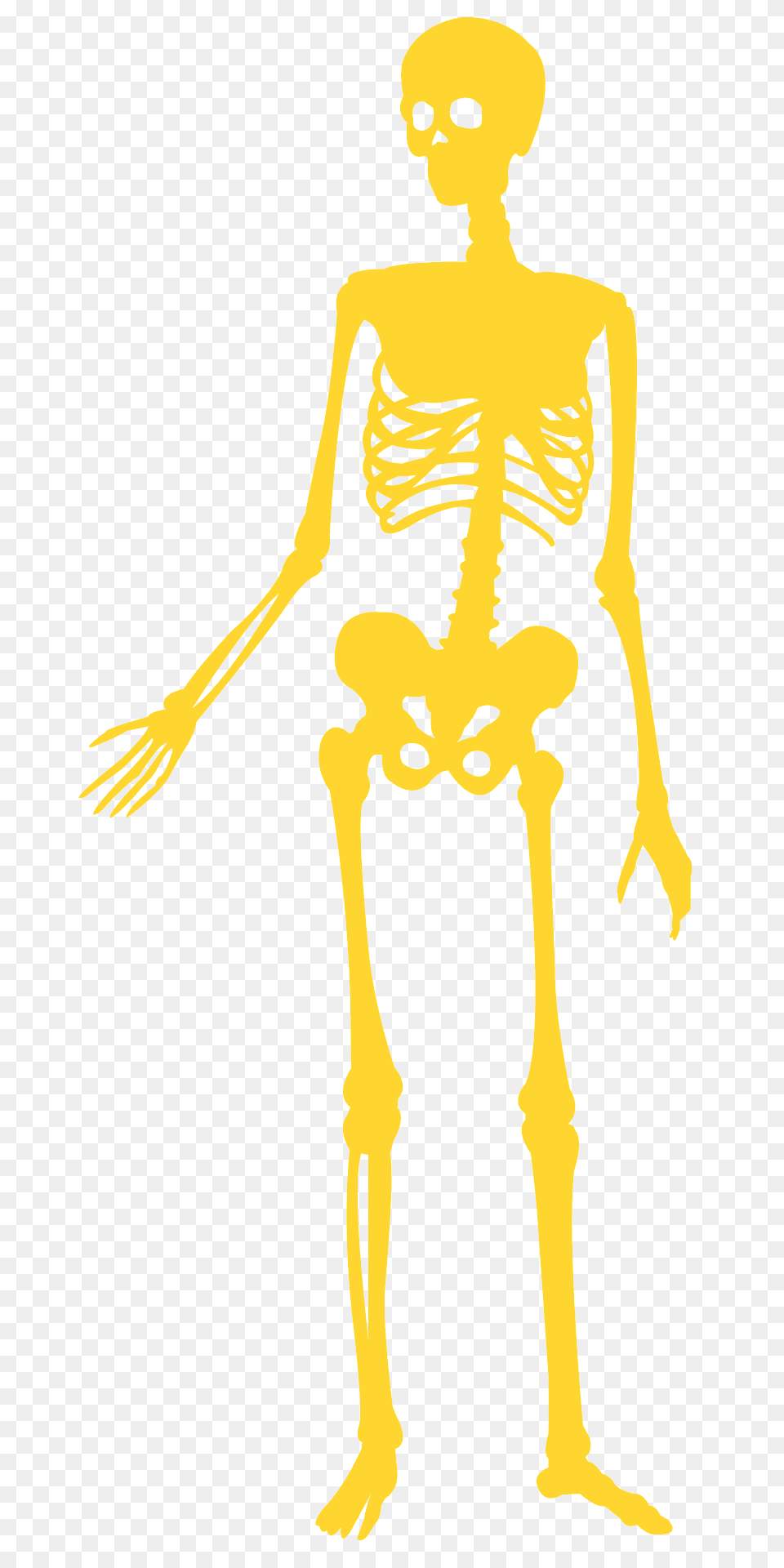 Skeleton Silhouette, Person, Face, Head Png Image