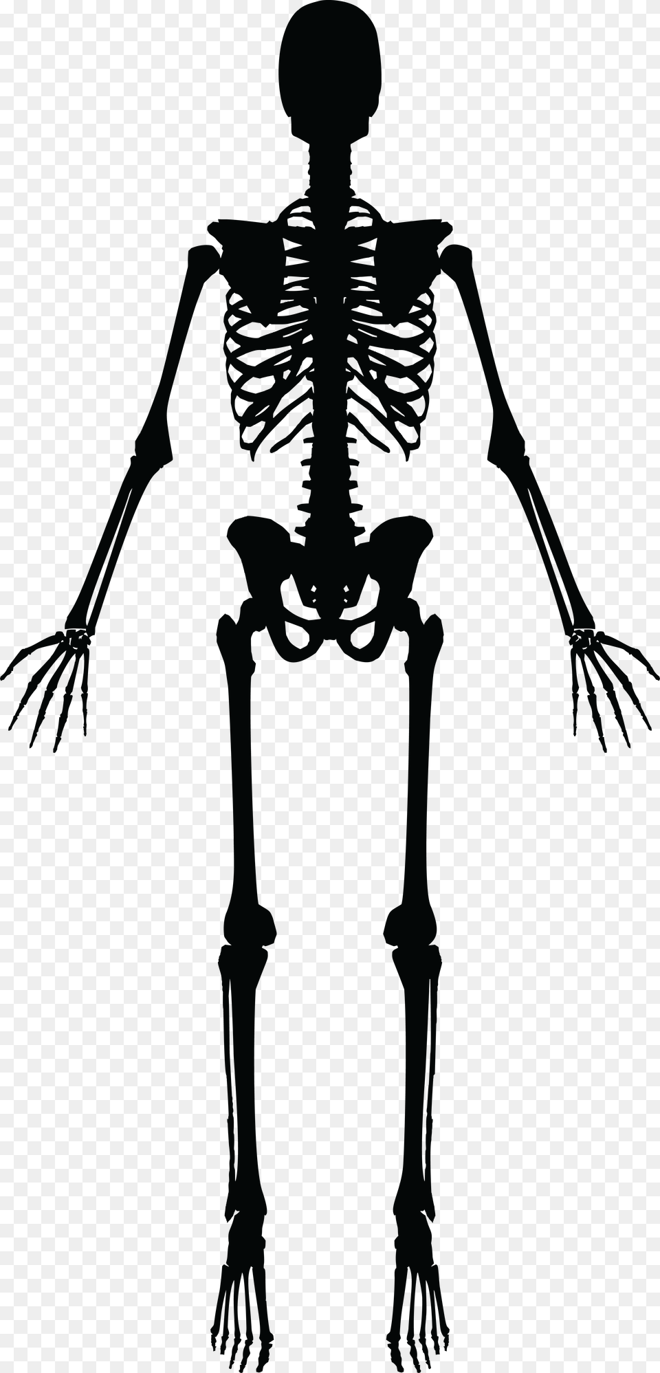 Skeleton Silhouette Skeleton Clipart Black And White, Cross, Symbol Png