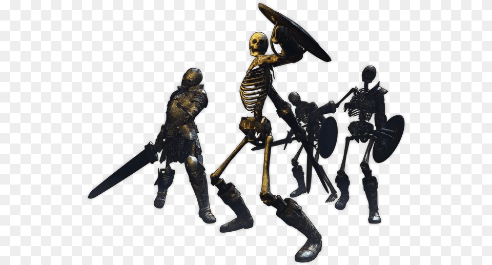Skeleton Skeleton Dogma, Person, Adult, Male, Man Png