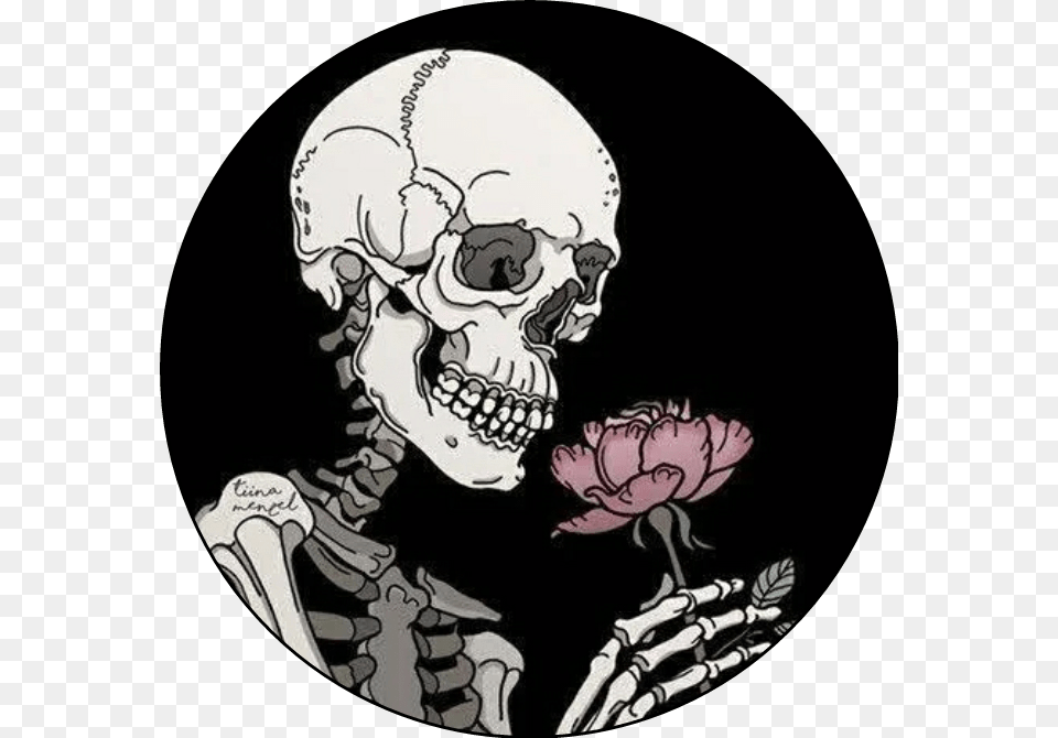 Skeleton Skull Rose Roses Skeletons Skulls Grunge Deathly Skeleton, Adult, Female, Person, Woman Free Png