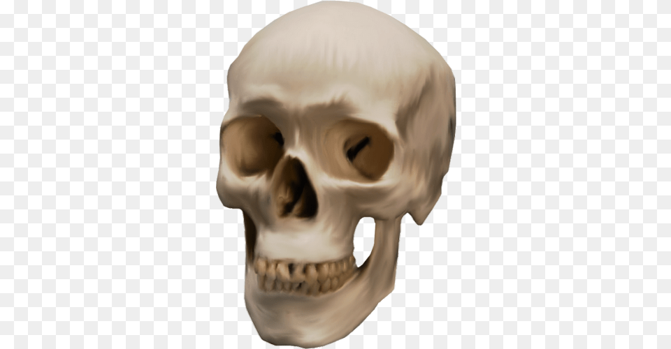 Skeleton Skull Skull, Animal, Canine, Dog, Head Png